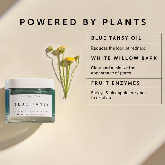 Herbivore Blue Tansy BHA and Enzyme Pore Refining Mask - Picture 2 of 2